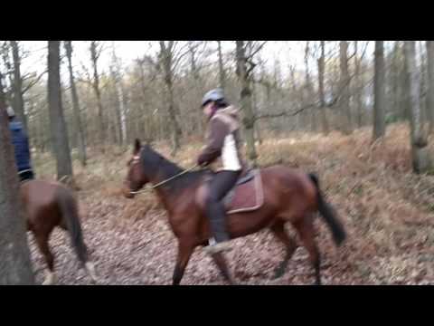 Balade du 07/12/2016 :)