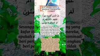 Download lagu Tak ngaruh sama saja diingati atau tidak #qsalbaqoroh #sifatorangkafir #youtubeshorts #foryou mp3