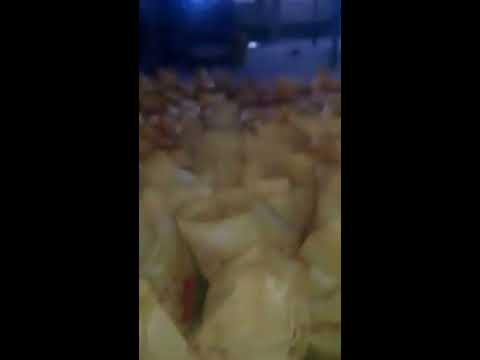 download lagu mp3 mp4 5 Broken Rice, download lagu 5 Broken Rice gratis, unduh video klip 5 Broken Rice