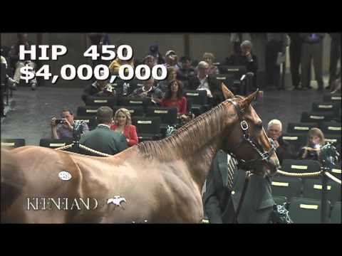 2015 November Breeding Stock Sale: Hip 450 - TAKE CHARGE BRANDI