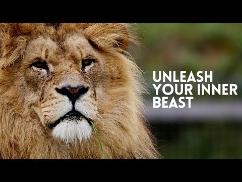 Unleash Your Inner Beast | Motivational Video
