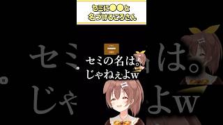 セミに〇〇と名づけるころさん【戌神ころね/ホロライブ切り抜き/#shorts】