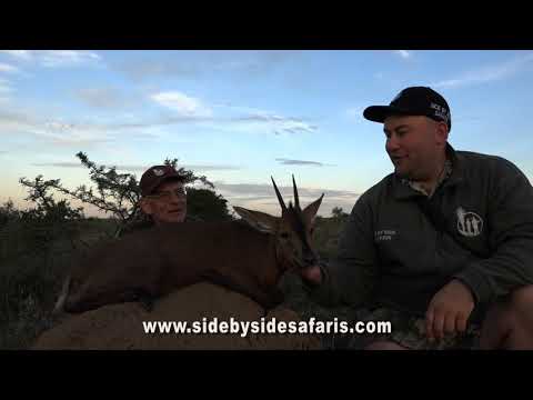 Duiker Hunting - Hunting in Africa - Hunting the Brown Bush Duiker