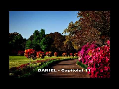 Daniel   Capitolul 11