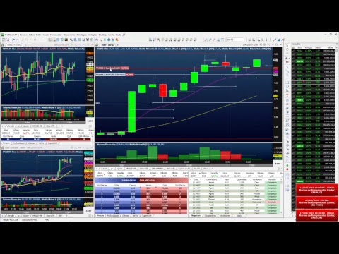 Palinha do Palex - dia 17 de Janeiro 2019 - MANHÃ