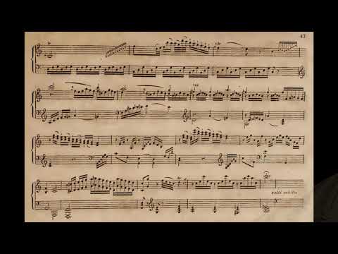 J. Haydn - Sonata in G major, Hob. XVI: 39 (V. Nedosekin, accordion)