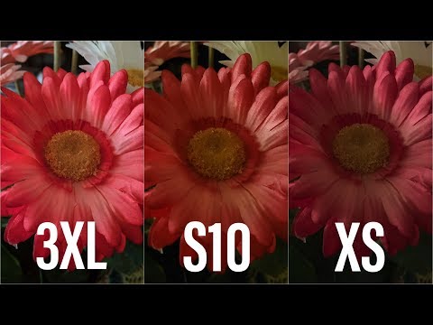 Samsung S10 Plus vs iPhone XS Max and Google Pixel 3 XL - Camera Test!