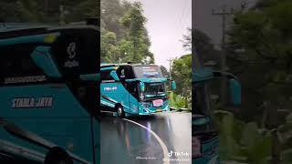 Download lagu basuri suci dalam debu #automobile #pecintabis #busmania #basuri #bussmania95 #buspariwisata mp3