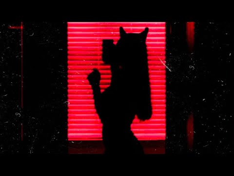 Lainer ❌ @luiggimusic - FINA 