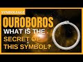 What Does the Ouroboros Really Mean? | SymbolSage