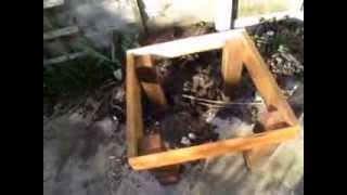 Hive positioning and DIY hive stand. Waiting for the bees.