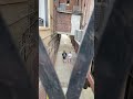 Underground HIDDEN City Of Knoxville TN
