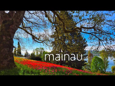 MAINAU - The Island of Flowers in Southern Germany  at Lake Constance