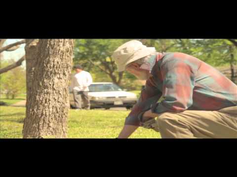 The Neighbor