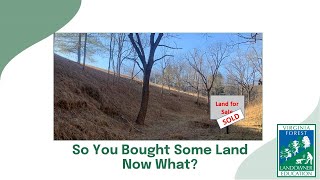 Fifteen Minutes in the Forest. So You Bought Some Land. Now What?