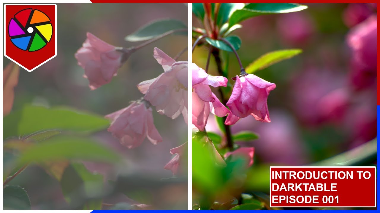 001 - Introduction to Darktable | Interface, Modules