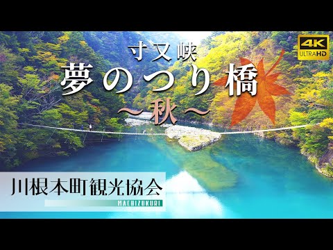 紅葉の「夢のつり橋」をドローン空撮！