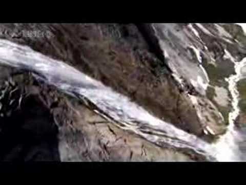 deep forest - Twosome