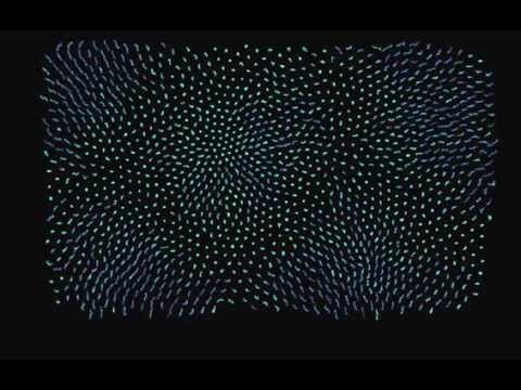 Swarm Intelligence 2: emerging patterns