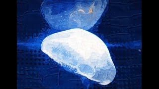 brad mehldau - Bewitched