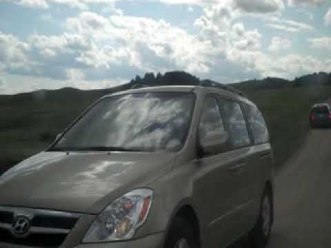custer state park   bison next to road WMV V9