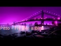Pitto - Fly Like a Bird (DSR3X) 