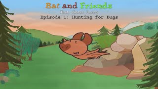 Hunting for Bugs - Episode 1