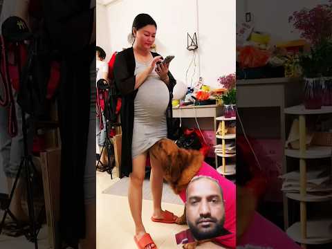 Doglove #萌宠出道计划 #旺夫女人 #夫妻 #金毛 #狗狗 #trending #op #funny #video #shorts #comedy #viralvideo #dog #dj