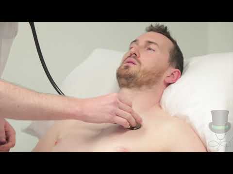 Resp - Auscultation of the anterior chest