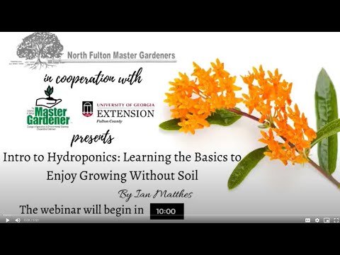 Intro to Hydroponics: Learning the Basics to Enjoy Growing Without Soil