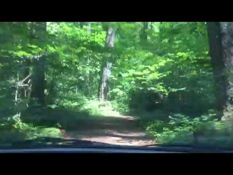 Thumbnail for Took an ugly McKenzie pass forest service road in a Geo Metro ... by Geo Metro