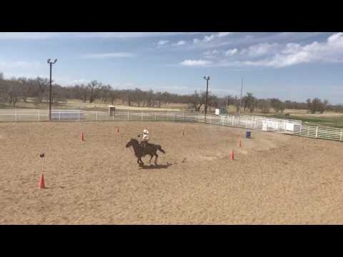 Mounted Shoot 3/15/17 Rob and Sniper #2