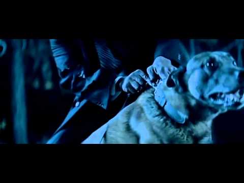 Beyonce   Halo Version 2 HD 1080p