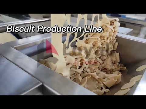 Biscuit Machine  비스킷 기계 machine à biscuits  WhatsApp ：+86 18963068960