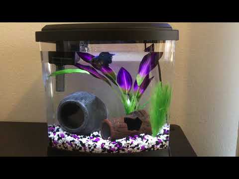 Top Fin Imagine aquarium 2.5 gallons