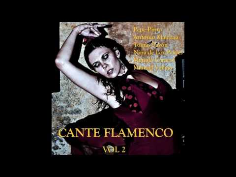 05 Pepe Pinto - Yo Quisiera Ser Valiente - Cante Flamenco Vol. II