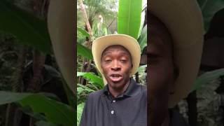 Timothy Brown LIVE in Nashville, TN at Avon's Repfest at Gaylord Opryland