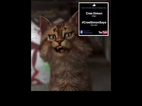 Cree dialect cat