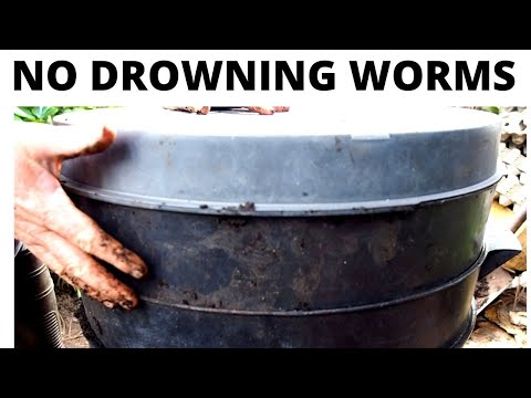 No DROWNING WORMS This Hack Changes Everything
