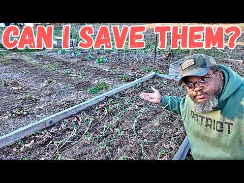 Let's Take A Walk and See What's Growing In February!