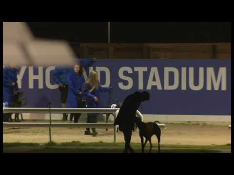 Vancouver Mike - Coral Romford Puppy Cup - Heat