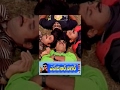 NTR Nagar Full Length Telugu Movie