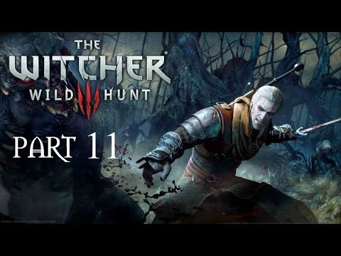 Witcher 3 Wild Hunt Deathmarch Part 11 The Nilfgaardian Connection