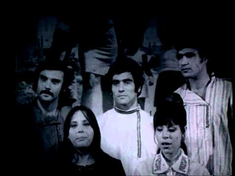 Naomi Shemer - "Horchat Eucalyptus" - חורשת האקליפטוס