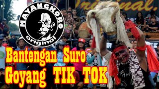 Download lagu Viral GOYANG TIK TOK Bantengan Suro -  Mayangkoro Original mp3