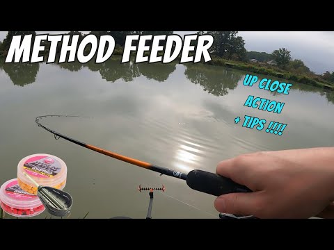 Autumn Method Feeder Fishing for Carp - UP CLOSE VIDEO FOOTAGE + TIPS!