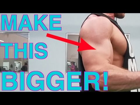 Muscular Strenght Title