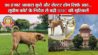🚨 90 हज़ार आवारा कुत्ते और सिर्फ़ 8 शेल्टर! 😱 सुप्रीम कोर्ट के आदेश से BMC में मचा हड़कंप 🏛️🐶