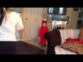 Running Elmo
