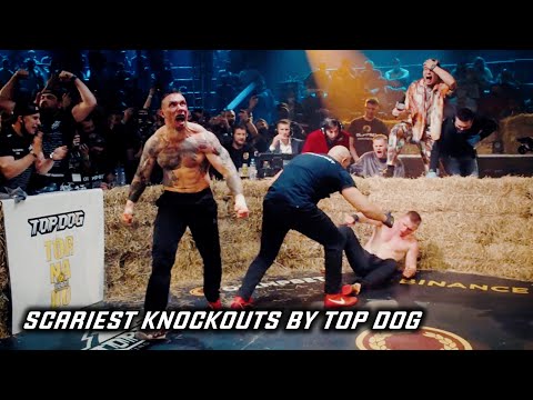 Scariest Knockouts by TOP DOG / Highlights Best Fights 2024